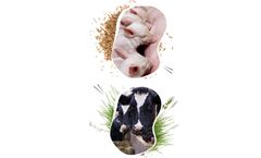 Isagri - Livestock Management Software