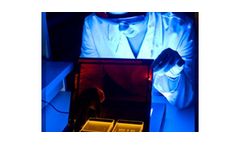DNA Sequencing, PCR Technology, and Molecular Biology Services
