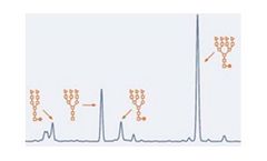 Protein Method Development and Validation Services