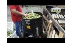 Peanut Peeling Machine - Speed Regulated Video
