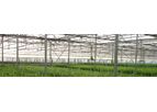 Novedades - Micro Sprinkler Irrigation System