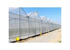 Ulma - Model G - Gothic Multispan Greenhouses