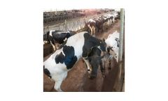 Heat Detection