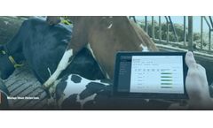 Nedap - Outstanding Dairy Cow Heat Detection Software