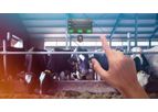 Nedap - Augmented Reality Dairy Farm Technology