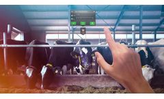 Nedap - Augmented Reality Dairy Farm Technology