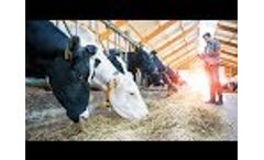 Nedap CowControl Herd Performance Trends user interface Video