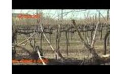 Deleafer Tornado - Vertical Roller Suction System Video