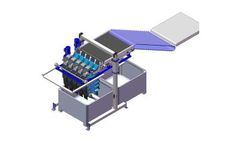 SmarTOUCH - Bin Filler - Fruit Packing System