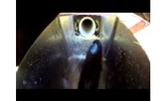 Volitional Entry 2 HD Video