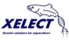 Xelect awarded Smart: Scotland Funding