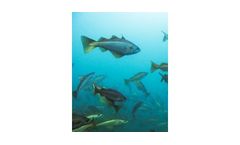 Ecosystem Monitoring Services