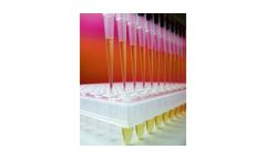 Aquaculture Broodstock Selection Genetic Markers