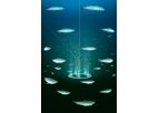 VAKI - Sea Pen Aeration & Oxygenation
