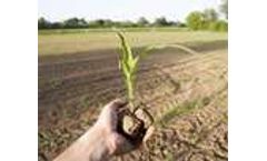 Food producers to benefit from innovative crop irrigation systems