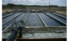 BoPil SpotFish - Feeding System