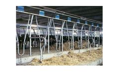 Olanda & America - Livestock Short Stalls