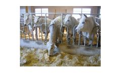 Rota Guido - Arched Self-Capturing Cattle Rack