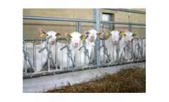 Rota Guido - Sheep and Goat Feeding Equipment