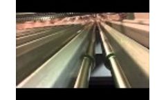 49 Grading of pelagic fish in 6 sizes, 5 m rollers Video