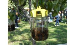 Tap-Trap - Eco-Friendly Insect Trap