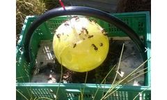 Sfera Trap - Ingenious Device