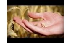 The world Timac Agro Italy Video
