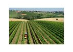 Tecnovict - Model 111 VRT - Vine Leaf Stripper