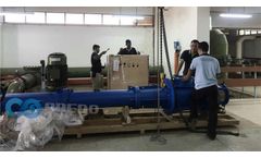 Hunan - Model 400VCP-192F - Vertical Turbine Pump