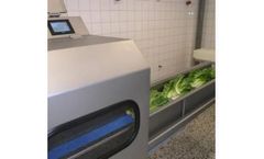 Sgorbati - Salad Processing Cutters