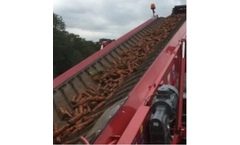 Sgorbati - Carrots Handling and Preparation Conveyor
