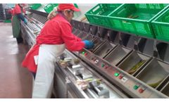 Asparagus optical grader - Video