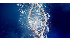 Environmental DNA (eDNA) Testing