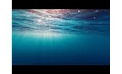 Environmental Toxicity Testing Webinar - Video