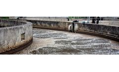 Microbial formulations for municipal sector
