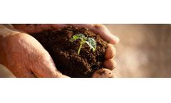 Microbial formulations for agriculture sector