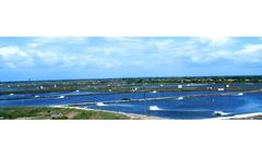 Microbial formulations for aquaculture sector