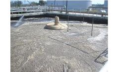 Monera - Model MICROCAT DF - Biocompatible Defoamer for Wastewater Plants