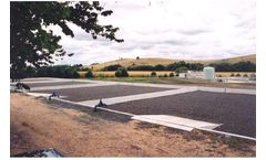 Monera - Model MICROCAT ANSRL - Odor Control /Sludge Reduction Bioformula for Sludge Processing and Dewatering