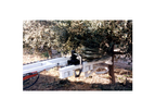 MaqTec - Olive Pruner