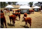 HE Silos - Sheep and Cattle Feeders
