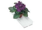 Danvan - NFT Gutters for Lettuce and Herbs Greenhouses: High-Temperature Resistant Design
