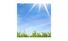 Energy Efficiency Services