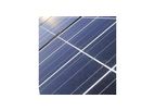 Renewable Energy Services