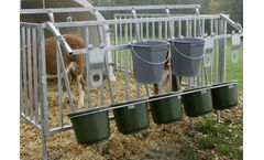 Comfort Zone Calf Barn - Calves Igloo