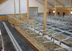 Schauer - Cattle Loose Housing System