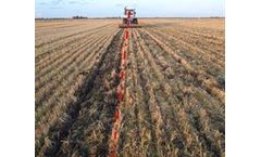 Tillso - Sabre Tine