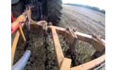 Sabre Mono Tine Video