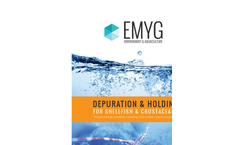 EMYG Company Profile Brochure