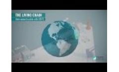 The Living Chain - EMYG Environnement et Aquaculture Video